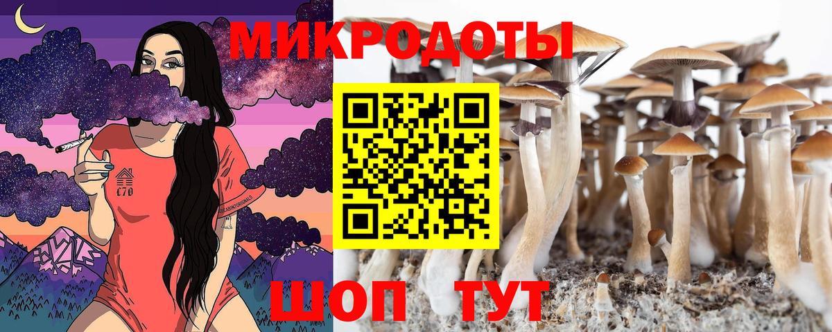 Галлюциногенные грибы Psilocybine cubensis  как найти закладки  Ступино  Вход с VPN  Псилоцибиновые грибы мицелий 